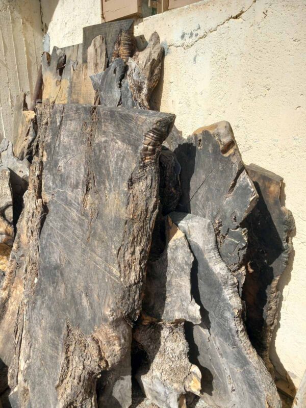 THE TOP OF A TABLE FROM OLIVE TREE - Image 6