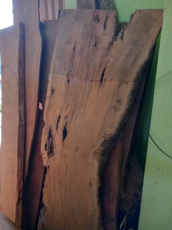 THE TOP OF A TABLE FROM OLIVE TREE - Image 7